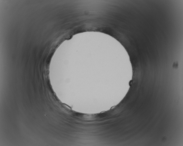 X0000115780335200912241816