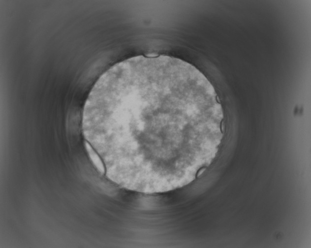 X0000115780336200912241816