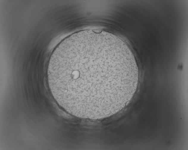 X0000115780337200912241815