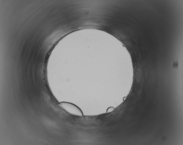 X0000115780338200912241815