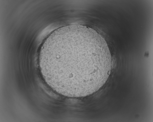 X0000115780339200912241815