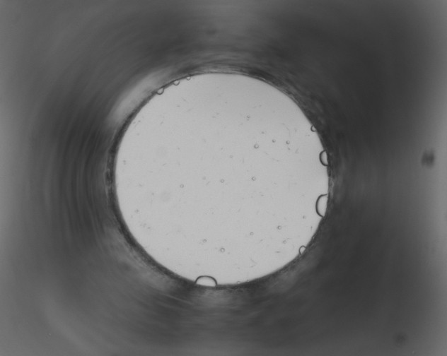 X0000115780341200912241815