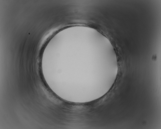 X0000115780342200912241815