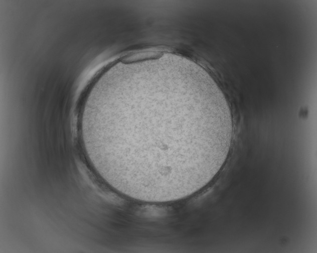 X0000115780343200912241815