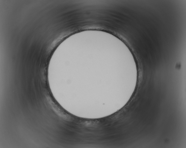 X0000115780345200912241815