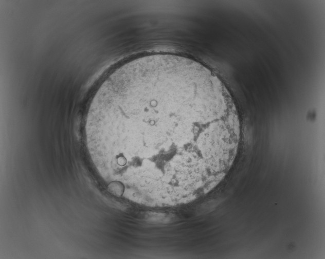 X0000115780347200912241815