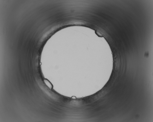 X0000115780350200912241815