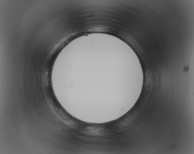 X0000115780351200912241815