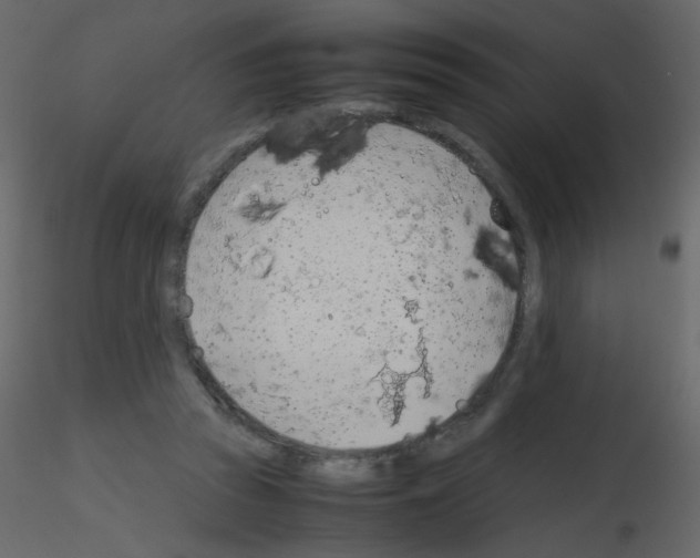 X0000115780353200912241815