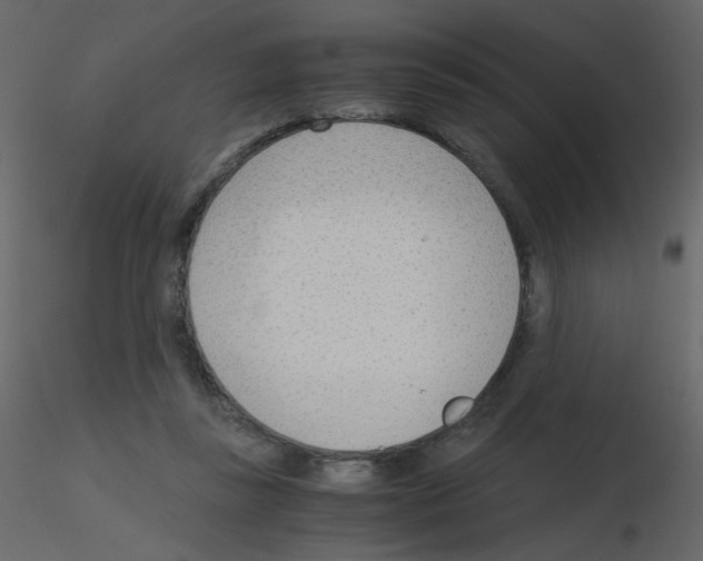 X0000115780355200912241815