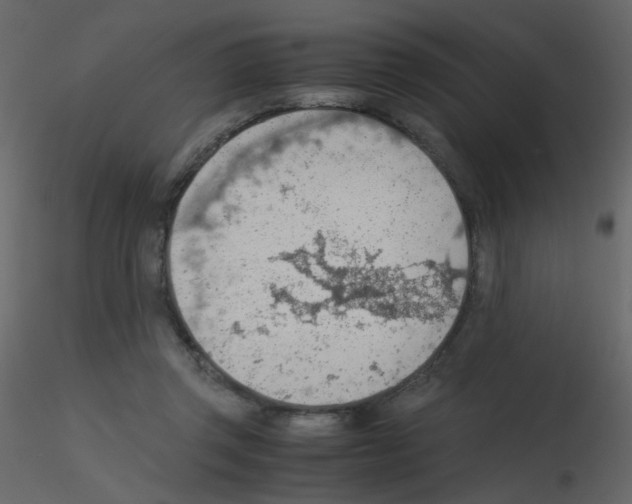 X0000115780357200912241815