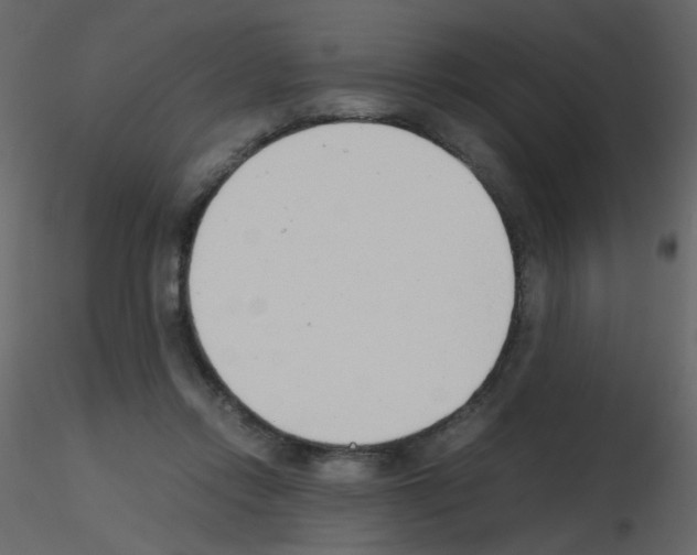 X0000115780358200912241815