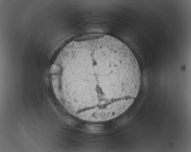 X0000115780359200912241815