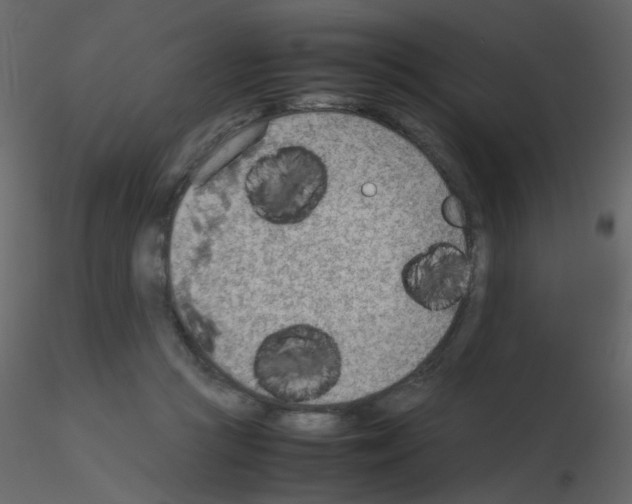 X0000115780361200912241815