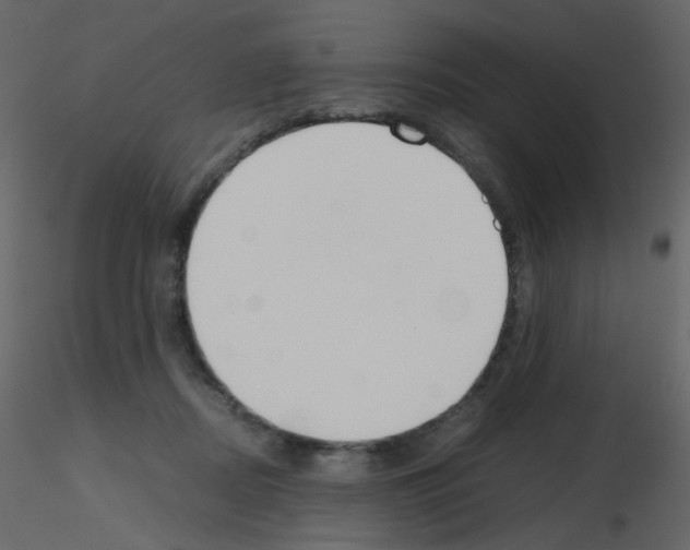 X0000115780362200912241815