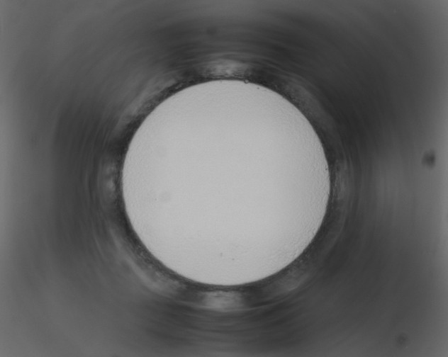 X0000115780363200912241815