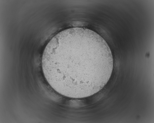 X0000115780367200912241815