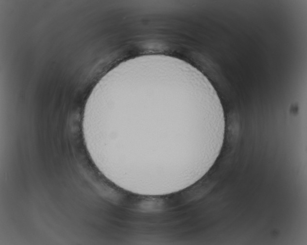 X0000115780369200912241815