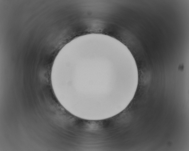 X0000115780370200912241816