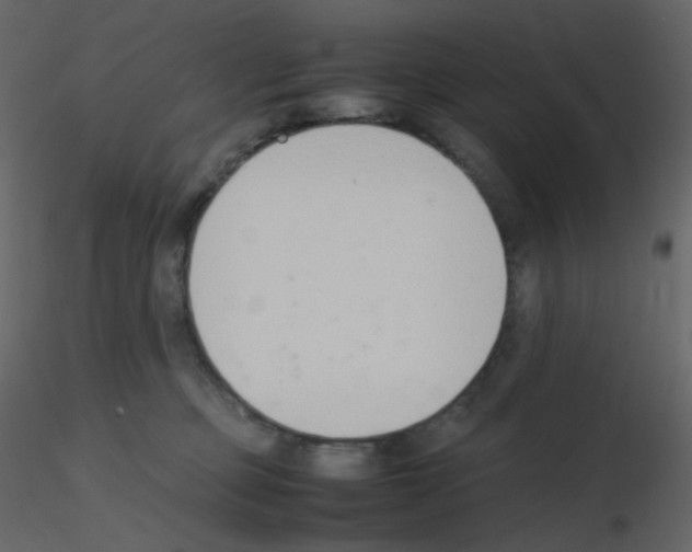 X0000115780373200912241816