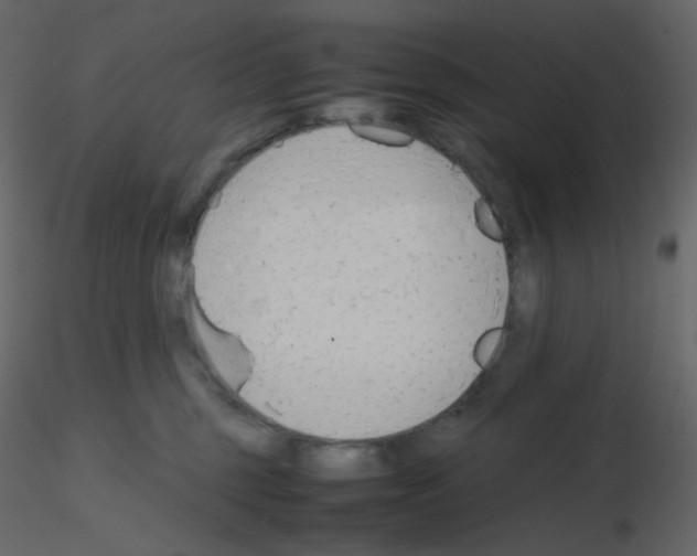 X0000115780375200912241816