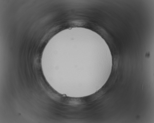 X0000115780377200912241816