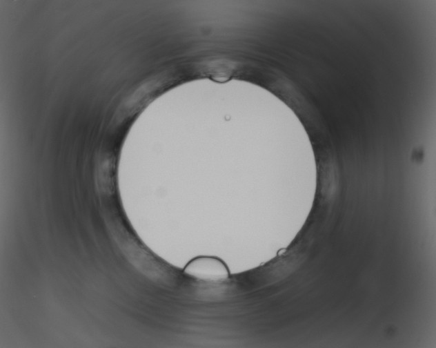 X0000115780378200912241816