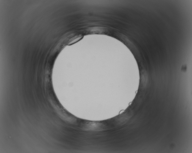 X0000115780379200912241816