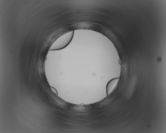 X0000115780381200912241816