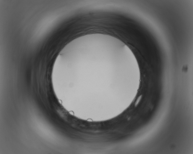 X0000115780382200912241816