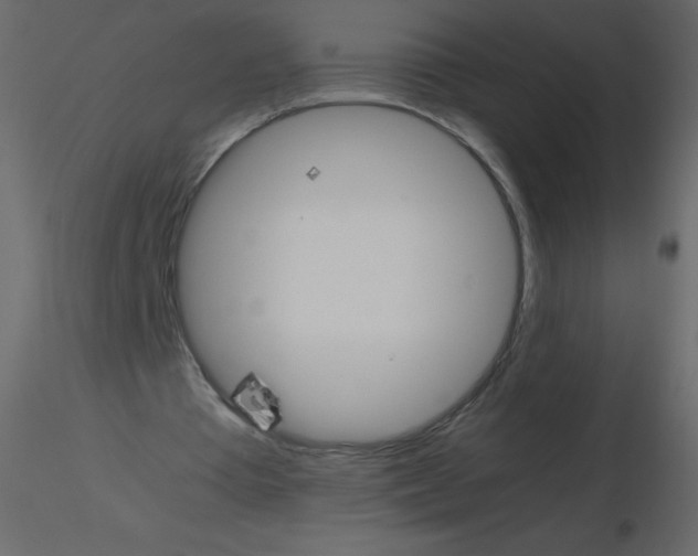 X0000115780385200912241815