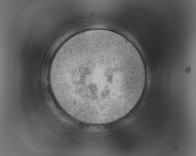 X0000115780386200912241815