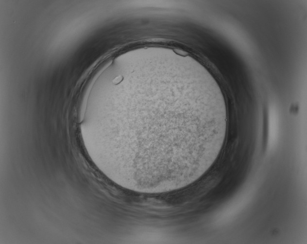 X0000115780387200912241815