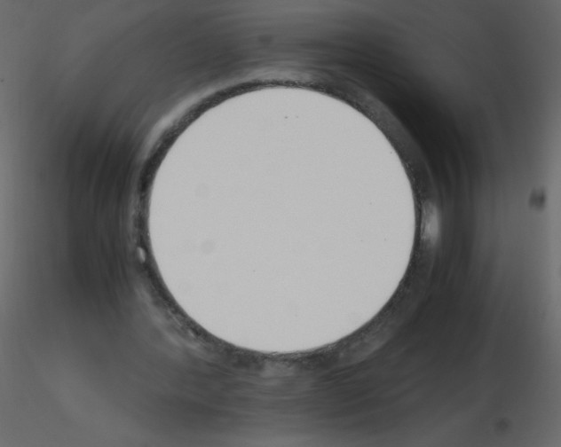 X0000115780388200912241815