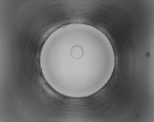 X0000115780389200912241815