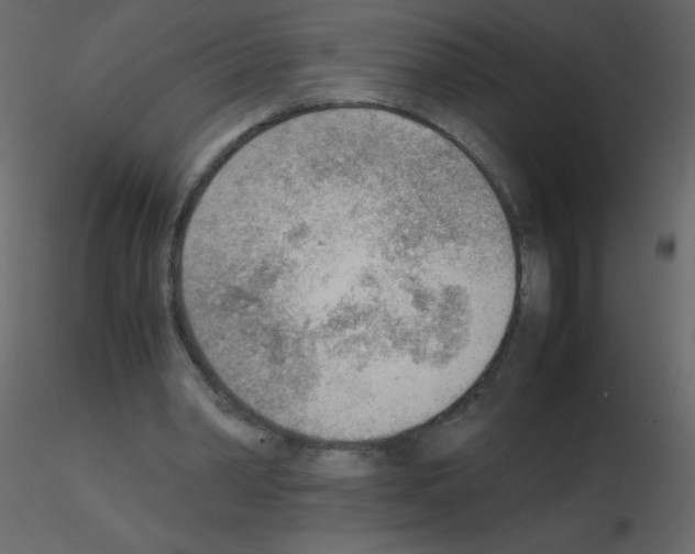 X0000115780390200912241815