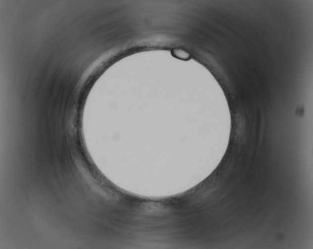 X0000115780392200912241815