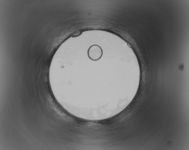 X0000115780393200912241815