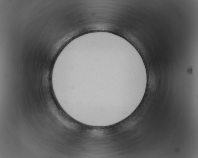 X0000115780394200912241815