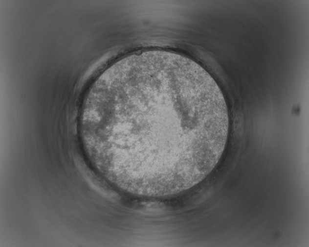 X0000115780395200912241815