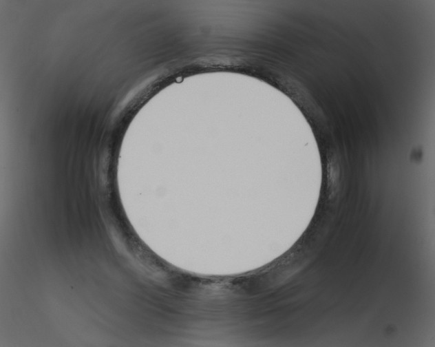 X0000115780396200912241815