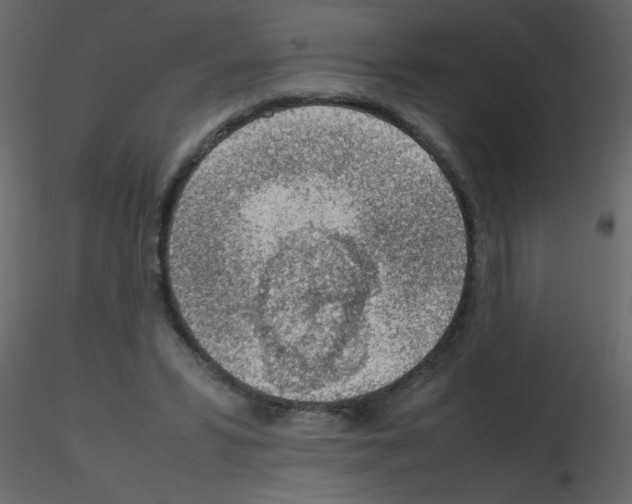 X0000115780399200912241815