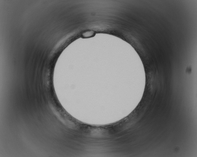 X0000115780400200912241815