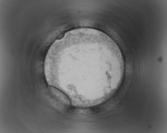 X0000115780401200912241815