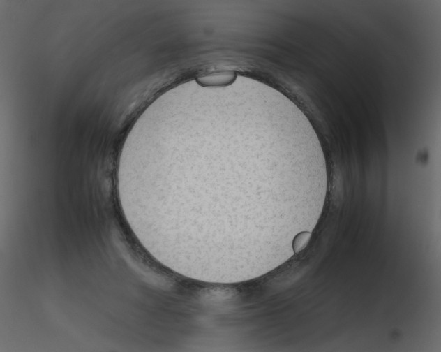 X0000115780402200912241815