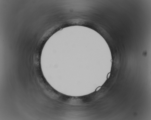 X0000115780403200912241815