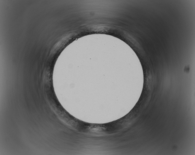 X0000115780407200912241815