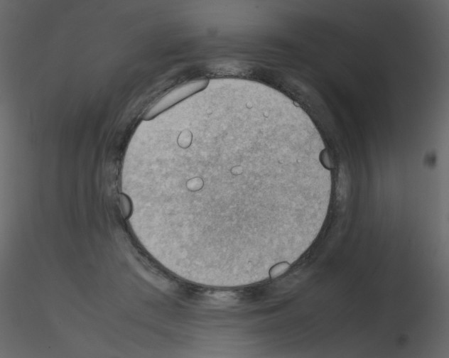 X0000115780409200912241815