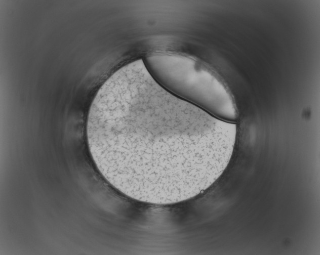 X0000115780413200912241815