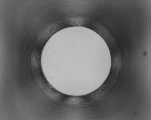 X0000115780414200912241815